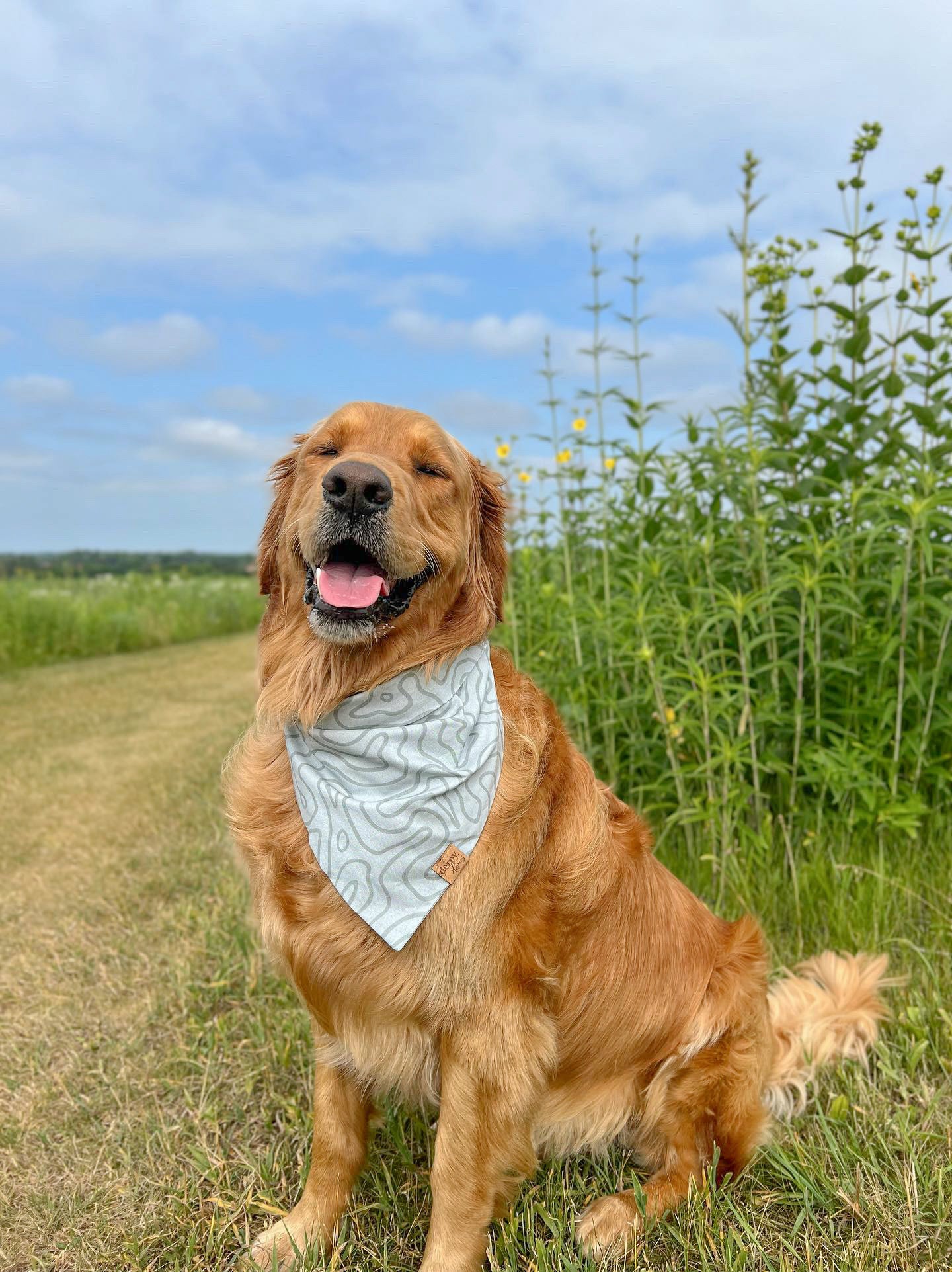 golden retriever hats – Derpy Danas