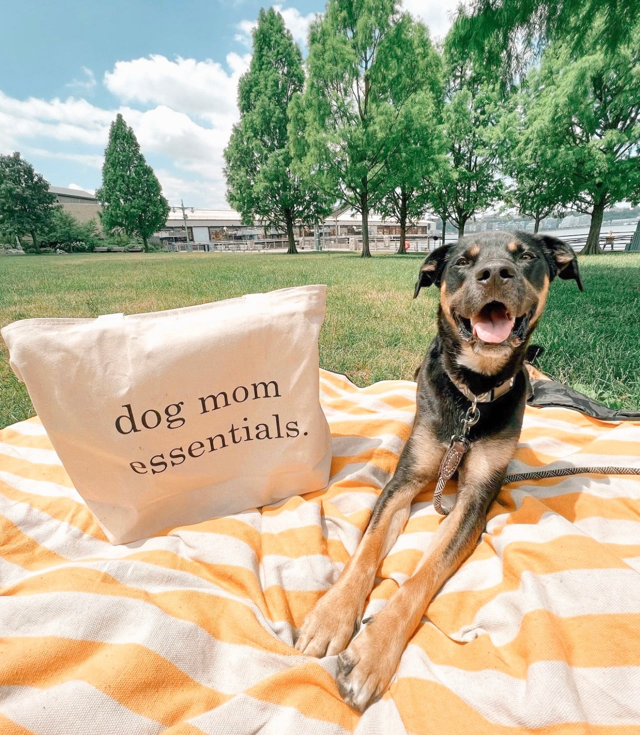 dog mom essentials tote bag